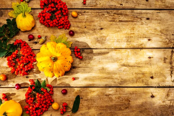 Şükran Günü ya da Cadılar Bayramı sonbahar geçmişi. Taze balkabağı, kiraz eriği, meşe palamudu ve olgun yaban mersini eski ahşap masa, üst manzara