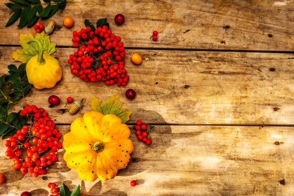 Şükran Günü ya da Cadılar Bayramı sonbahar geçmişi. Taze balkabağı, kiraz eriği, meşe palamudu ve olgun yaban mersini eski ahşap masa, üst manzara