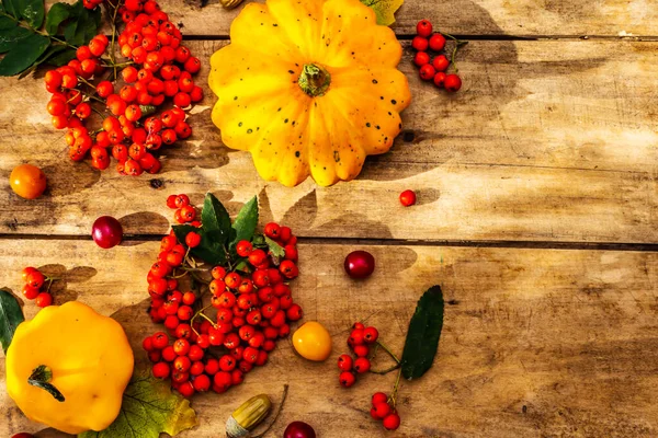 Şükran Günü ya da Cadılar Bayramı sonbahar geçmişi. Taze balkabağı, kiraz eriği, meşe palamudu ve olgun yaban mersini eski ahşap masa, üst manzara