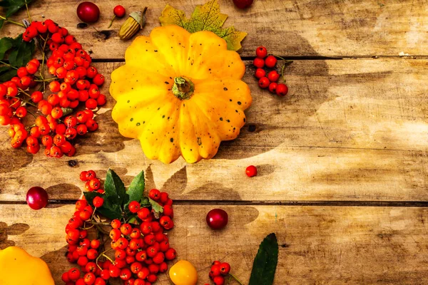 Şükran Günü ya da Cadılar Bayramı sonbahar geçmişi. Taze balkabağı, kiraz eriği, meşe palamudu ve olgun yaban mersini eski ahşap masa, üst manzara