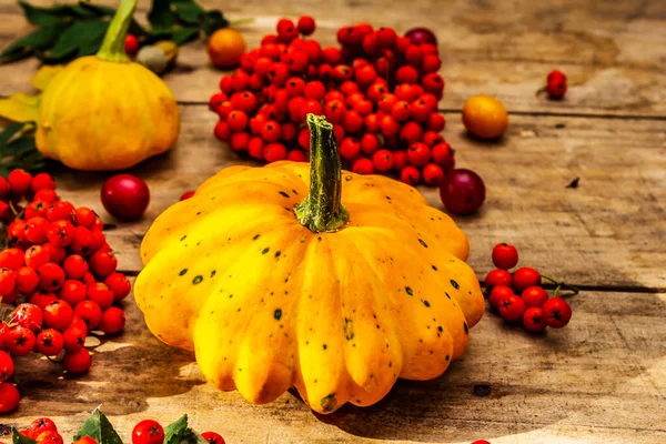 Şükran Günü ya da Cadılar Bayramı sonbahar geçmişi. Taze balkabakları, kiraz erikleri, meşe palamudu ve olgun yaban mersinleri eski ahşap masada, kapayın.