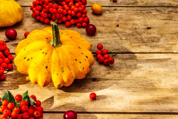 Şükran Günü ya da Cadılar Bayramı sonbahar geçmişi. Taze balkabakları, kiraz erikleri, meşe palamudu ve olgun yaban mersini eski ahşap masada, kopyalama alanı