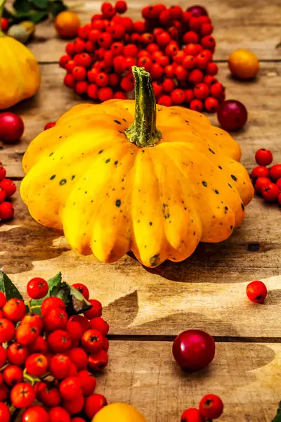 Şükran Günü ya da Cadılar Bayramı sonbahar geçmişi. Taze balkabakları, kiraz erikleri, meşe palamudu ve olgun yaban mersinleri eski ahşap masada, kapayın.