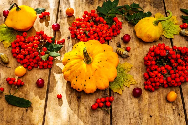 Şükran Günü ya da Cadılar Bayramı sonbahar geçmişi. Taze balkabakları, kiraz erikleri, meşe palamudu ve olgun yaban mersinleri eski ahşap masada, kapayın.