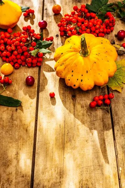 Şükran Günü ya da Cadılar Bayramı sonbahar geçmişi. Taze balkabakları, kiraz erikleri, meşe palamudu ve olgun yaban mersini eski ahşap masada, kopyalama alanı