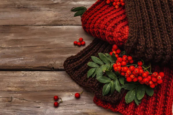 Autumn Good Mood Concept Warm Knitted Scarf Hot Drink Ripe — Stock Photo, Image