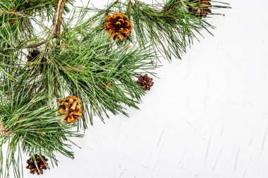Noel ya da yeni yıl konsepti. Taze çam dalları ve kozalaklar. Beyaz macun arkaplan, üst görünüm