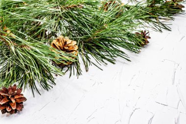 Noel ya da yeni yıl konsepti. Taze çam dalları ve kozalaklar. Beyaz macun arkaplanı, kopyalama alanı