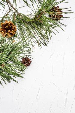 Noel ya da yeni yıl konsepti. Taze çam dalları ve kozalaklar. Beyaz macun arkaplan, üst görünüm