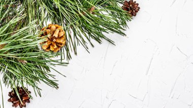 Noel ya da yeni yıl konsepti. Taze çam dalları ve kozalaklar. Beyaz macun arkaplan, üst görünüm