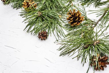 Noel ya da yeni yıl konsepti. Taze çam dalları ve kozalaklar. Beyaz macun arkaplan, üst görünüm