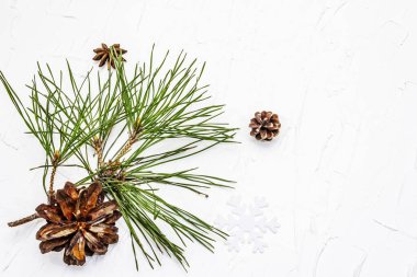Noel ya da yeni yıl konsepti. Taze çam dalları ve kozalaklar. Beyaz macun arkaplan, üst görünüm
