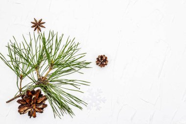 Noel ya da yeni yıl konsepti. Taze çam dalları ve kozalaklar. Beyaz macun arkaplan, üst görünüm