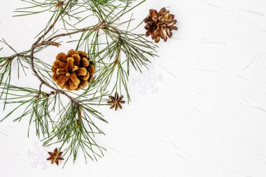 Noel ya da yeni yıl konsepti. Taze çam dalları ve kozalaklar. Beyaz macun arkaplanı, kopyalama alanı