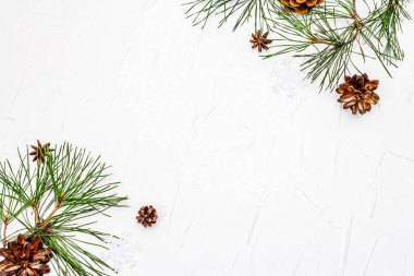 Noel ya da yeni yıl konsepti. Taze çam dalları ve kozalaklar. Beyaz macun arkaplanı, kopyalama alanı