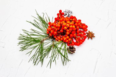 Noel ya da yeni yıl konsepti. Taze çam dalları, olgun yaban mersini ve kozalak. Beyaz macun arkaplanı, kapat