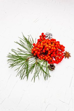 Noel ya da yeni yıl konsepti. Taze çam dalları, olgun yaban mersini ve kozalak. Beyaz macun arkaplanı, kopyalama alanı