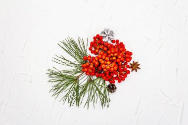 Noel ya da yeni yıl konsepti. Taze çam dalları, olgun yaban mersini ve kozalak. Beyaz macun arkaplan, üst görünüm