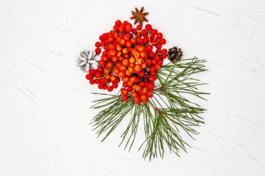 Noel ya da yeni yıl konsepti. Taze çam dalları, olgun yaban mersini ve kozalak. Beyaz macun arkaplan, üst görünüm