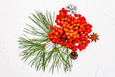 Noel ya da yeni yıl konsepti. Taze çam dalları, olgun yaban mersini ve kozalak. Beyaz macun arkaplanı, kapat