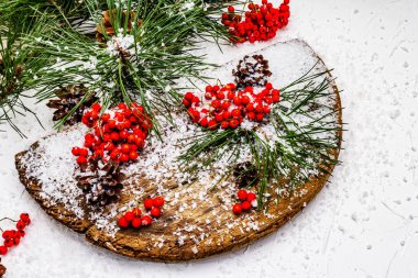 Kırmızı Rowan 'ın eski bir kar kaplı masada olduğu çam tümsekleri ve dallar. Geleneksel kış arkaplanı, kopyalama alanı