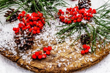 Kırmızı Rowan 'ın eski bir kar kaplı masada olduğu çam tümsekleri ve dallar. Geleneksel kış arkaplanı, kapat
