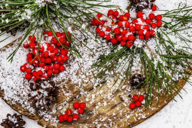 Kırmızı Rowan 'ın eski bir kar kaplı masada olduğu çam tümsekleri ve dallar. Geleneksel kış arkaplanı, üst görünüm
