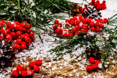 Kırmızı Rowan 'ın eski bir kar kaplı masada olduğu çam tümsekleri ve dallar. Geleneksel kış arkaplanı, üst görünüm
