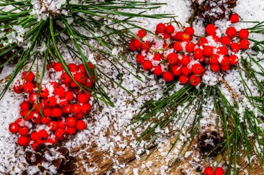 Kırmızı Rowan 'ın eski bir kar kaplı masada olduğu çam tümsekleri ve dallar. Geleneksel kış arkaplanı, üst görünüm