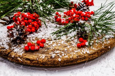 Kırmızı Rowan 'ın eski bir kar kaplı masada olduğu çam tümsekleri ve dallar. Geleneksel kış arkaplanı, kapat