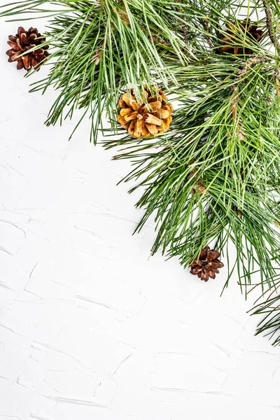 Concepto Navidad Año Nuevo Ramas Pino Fresco Conos Pino Fondo —  Fotos de Stock