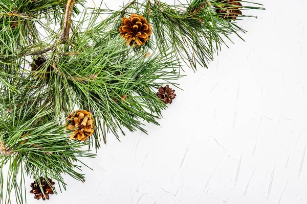 Noel ya da yeni yıl konsepti. Taze çam dalları ve kozalaklar. Beyaz macun arkaplan, üst görünüm