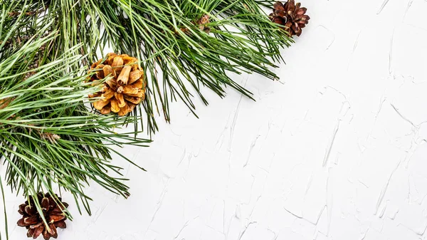Noel ya da yeni yıl konsepti. Taze çam dalları ve kozalaklar. Beyaz macun arkaplan, üst görünüm