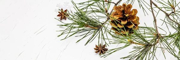 Noel ya da yeni yıl konsepti. Taze çam dalları ve kozalaklar. Beyaz macun arkaplanı, pankart biçimi