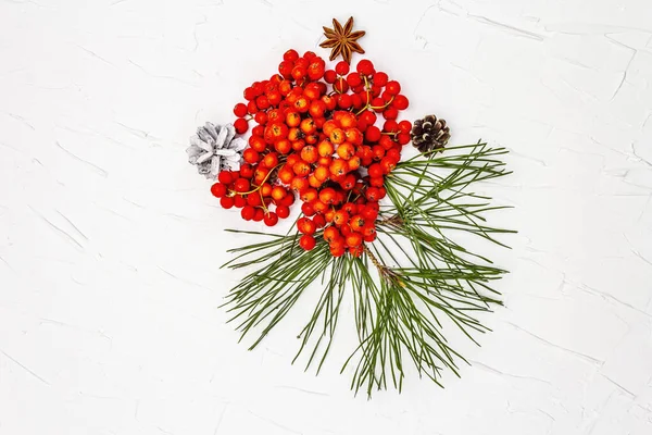 Noel ya da yeni yıl konsepti. Taze çam dalları, olgun yaban mersini ve kozalak. Beyaz macun arkaplan, üst görünüm
