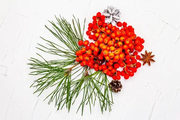 Noel ya da yeni yıl konsepti. Taze çam dalları, olgun yaban mersini ve kozalak. Beyaz macun arkaplanı, kapat