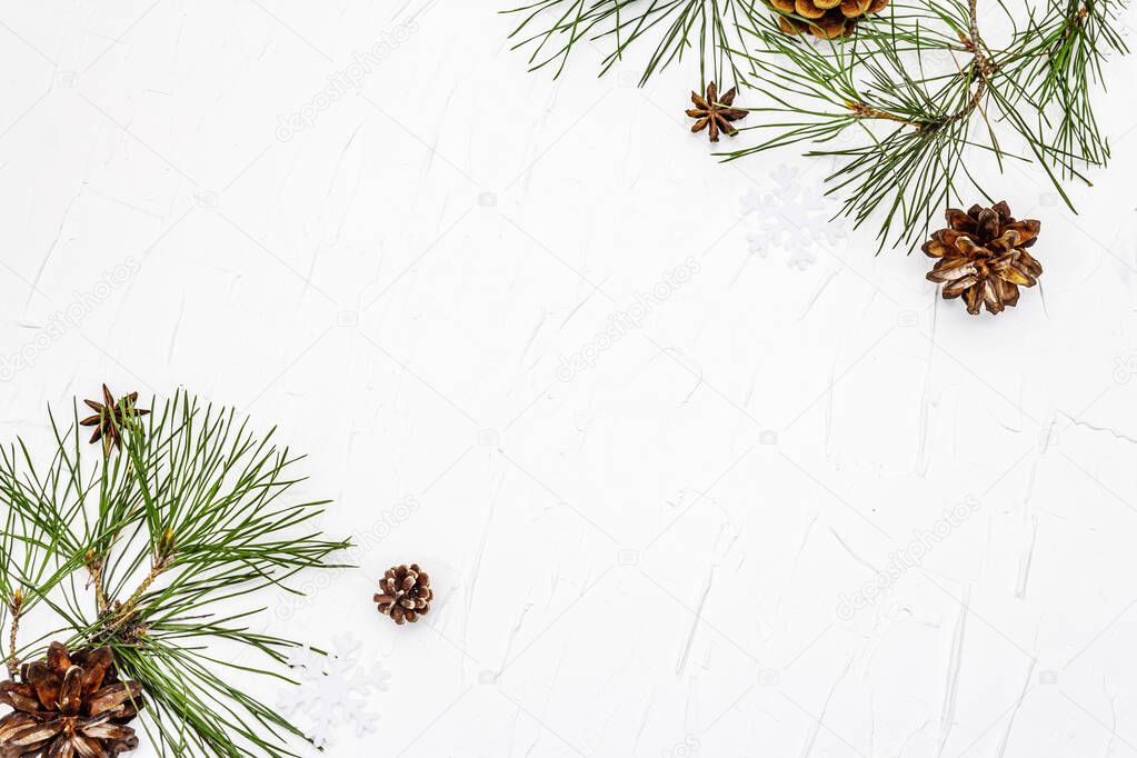 Christmas or New Year concept. Fresh pine branches and pine cones. White putty background, copy space
