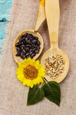 Tam ve soyulmuş ayçekirdeği, tahta kaşıklarda baş çiçekli deniz tuzu. Moda turkuaz tahta tahta arka plan, üst görünüm