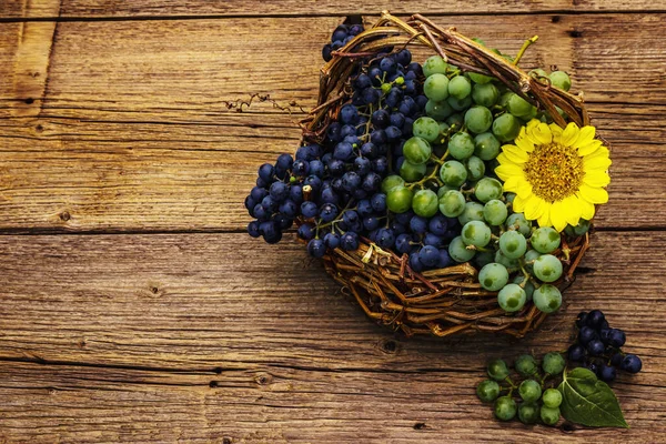 Ripe grapes in handmade basket. Assorted white and blue berries, bright sunflower. Vintage wooden boards background, top view