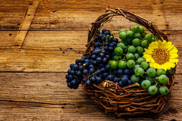 Ripe grapes in handmade basket. Assorted white and blue berries, bright sunflower. Vintage wooden boards background, copy space