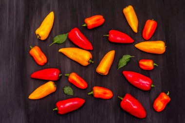 Çok renkli çeşitli bebek biberler: kırmızı, turuncu ve sarı. Taze hasat, sağlıklı yaşam tarzı için sulu ürünler. Siyah ahşap arkaplan, üst manzara