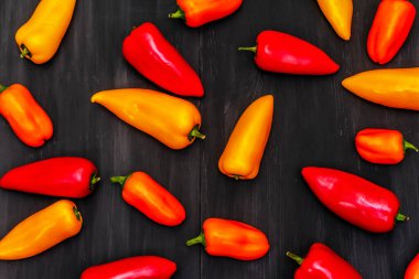 Çok renkli çeşitli bebek biberler: kırmızı, turuncu ve sarı. Taze hasat, sağlıklı yaşam tarzı için sulu ürünler. Siyah ahşap arkaplan, üst manzara