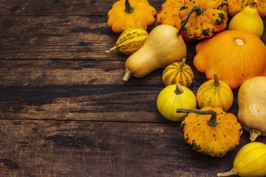 Çeşitli olgun balkabaklarından hasat et. Renkli bir arka plan, Şükran Günü ya da Cadılar Bayramı. Eski tahta tahta arka plan, kopyalama alanı