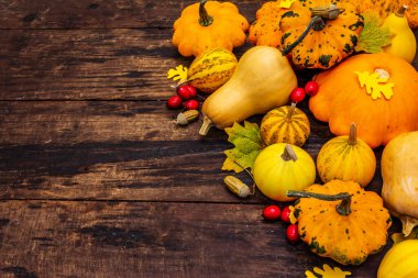 Olgun balkabağı, yaprak ve gül üzümü hasadı. Renkli bir arka plan, Şükran Günü ya da Cadılar Bayramı. Eski tahta tahta arka plan, kopyalama alanı