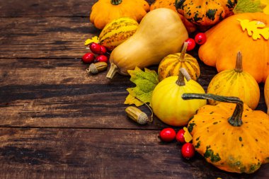 Olgun balkabağı, yaprak ve gül üzümü hasadı. Renkli bir arka plan, Şükran Günü ya da Cadılar Bayramı. Eski tahta tahta arka plan, kopyalama alanı