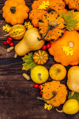 Olgun balkabağı, yaprak ve gül üzümü hasadı. Renkli bir arka plan, Şükran Günü ya da Cadılar Bayramı. Eski tahta arka plan, üst görünüm