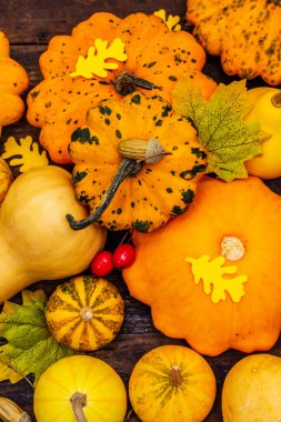 Olgun balkabağı, yaprak ve gül üzümü hasadı. Renkli bir arka plan, Şükran Günü ya da Cadılar Bayramı. Eski tahta arka plan, kapat