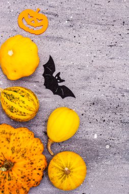 Çeşitli küçük balkabakları ve Cadılar Bayramı sembolleri. Yarasa, hayalet, cadı şapkası ve Keçe 'den Jack o Lantern. Gri taş arkaplan, üst manzara