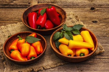 Çok renkli çeşitli bebek biberler: kırmızı, turuncu ve sarı. Taze hasat, sağlıklı yaşam tarzı için sulu ürünler. Eski tahta tahta arka plan, kopyalama alanı