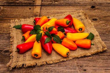 Çok renkli çeşitli bebek biberler: kırmızı, turuncu ve sarı. Taze hasat, sağlıklı yaşam tarzı için sulu ürünler. Eski tahta tahta arka plan, kopyalama alanı